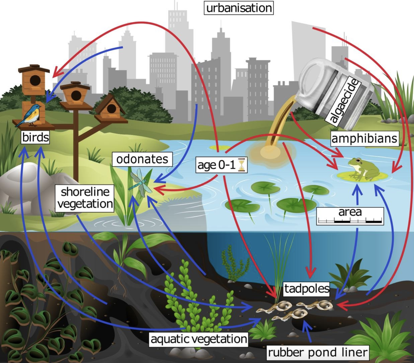 New Lit Alert: Effects of urbanisation, habitat characteristics, and management on garden pond biodiversity: Findings from a large-scale citizen science survey